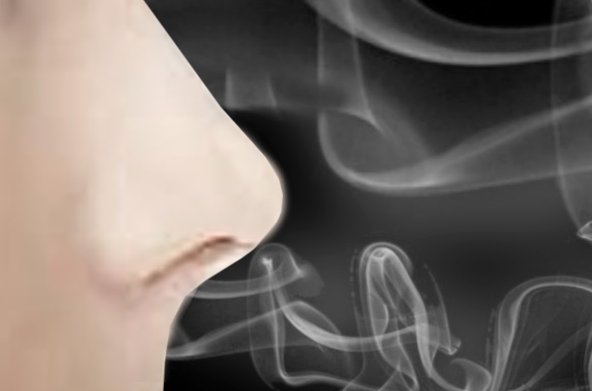 Morck Cleaning The Best Air Purifiers to Cover Smoke Smells