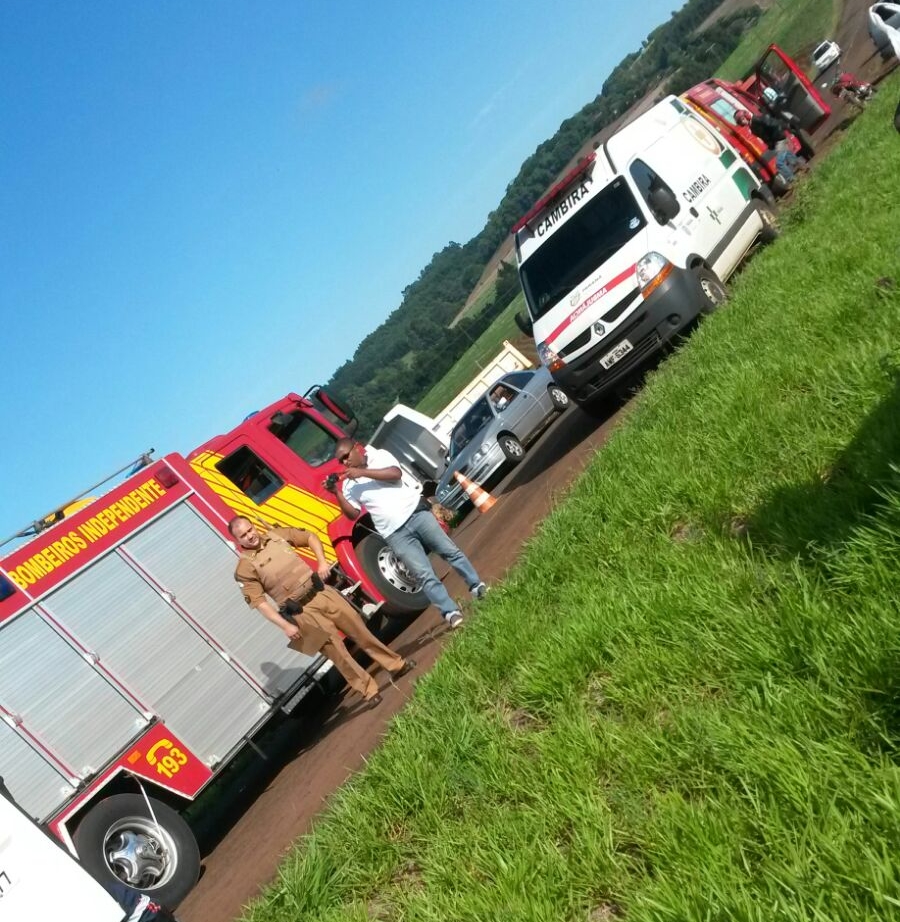 Caminhão atropela e mata cavalo na Rodovia Florindo Picoli
