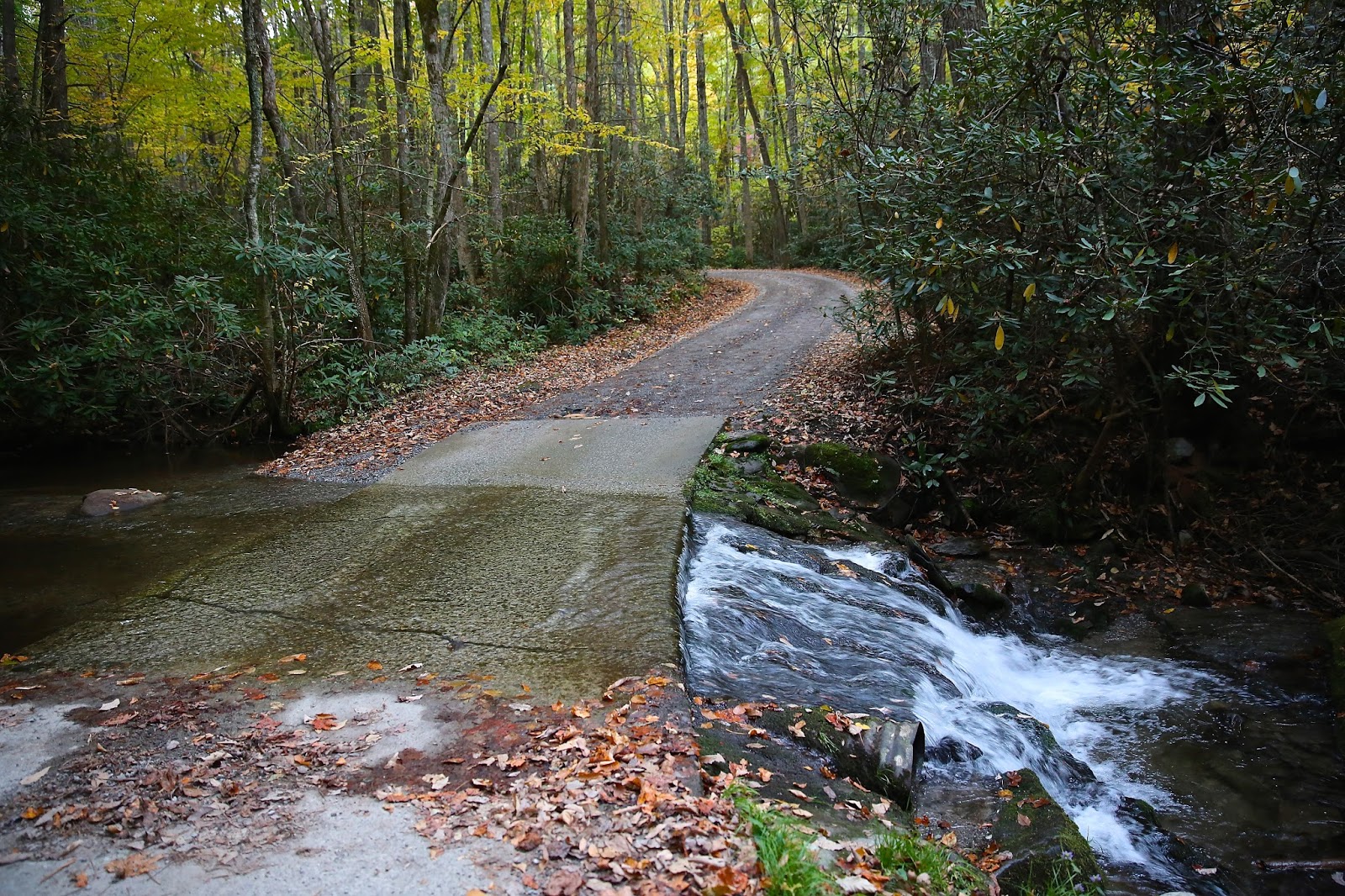 Sweet Southern Days Parson Branch Road In The Great Smoky Mountains