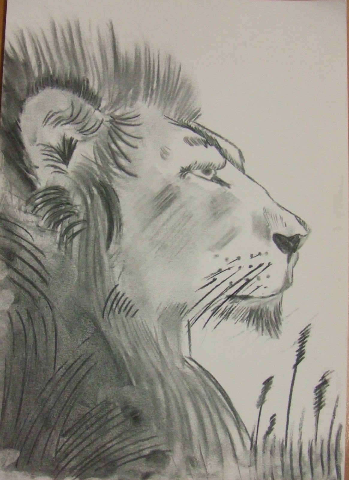 DIBUJOS FACILES de carboncillo - Imagui
