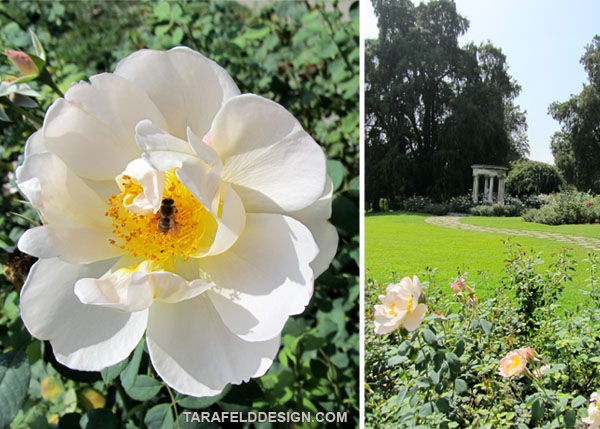 Blog Marrazzo S Manor Lane Florist Yardley Pa