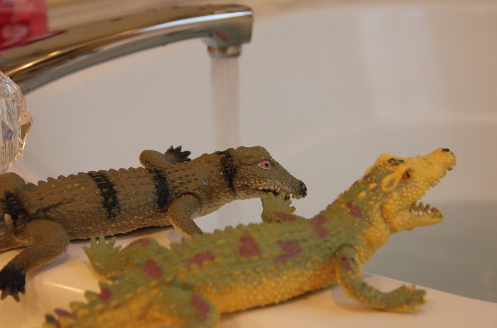 Alligators in the Bathtub Alligators in the Bathtub