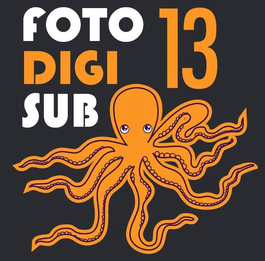 FOTODIGISUB 2013