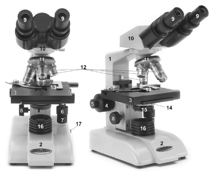 One night Care Formation Microscopul fotonic - Mod de utilizare