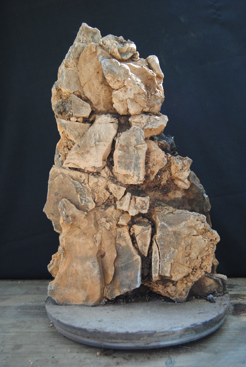 LENNARD S BONSAI  BEGINNINGS Experimental root over rock  