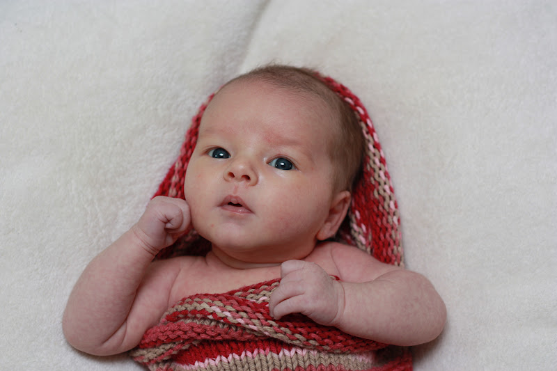 The neufelds 4 weeks old