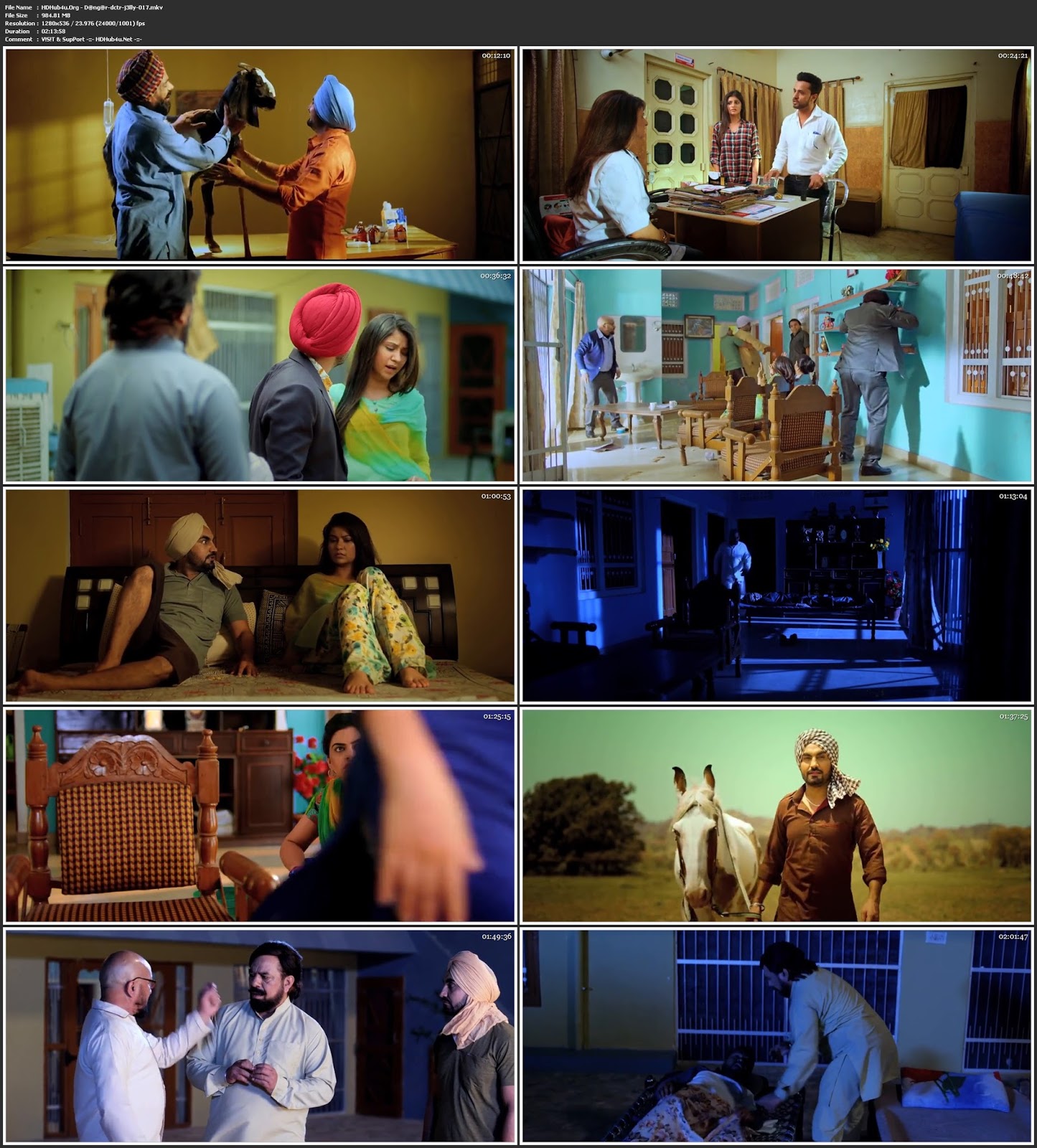 Dangar Doctor Jelly 2017 Punjabi Movie 720p HDRip 950MB Download