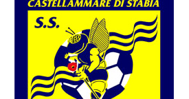 SS Juve Stabia 2024/2025 Squad & Players Team Roster Cavpo