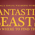 Filming Gets Underway on "Fantastic Beasts and Where to Find Them"
