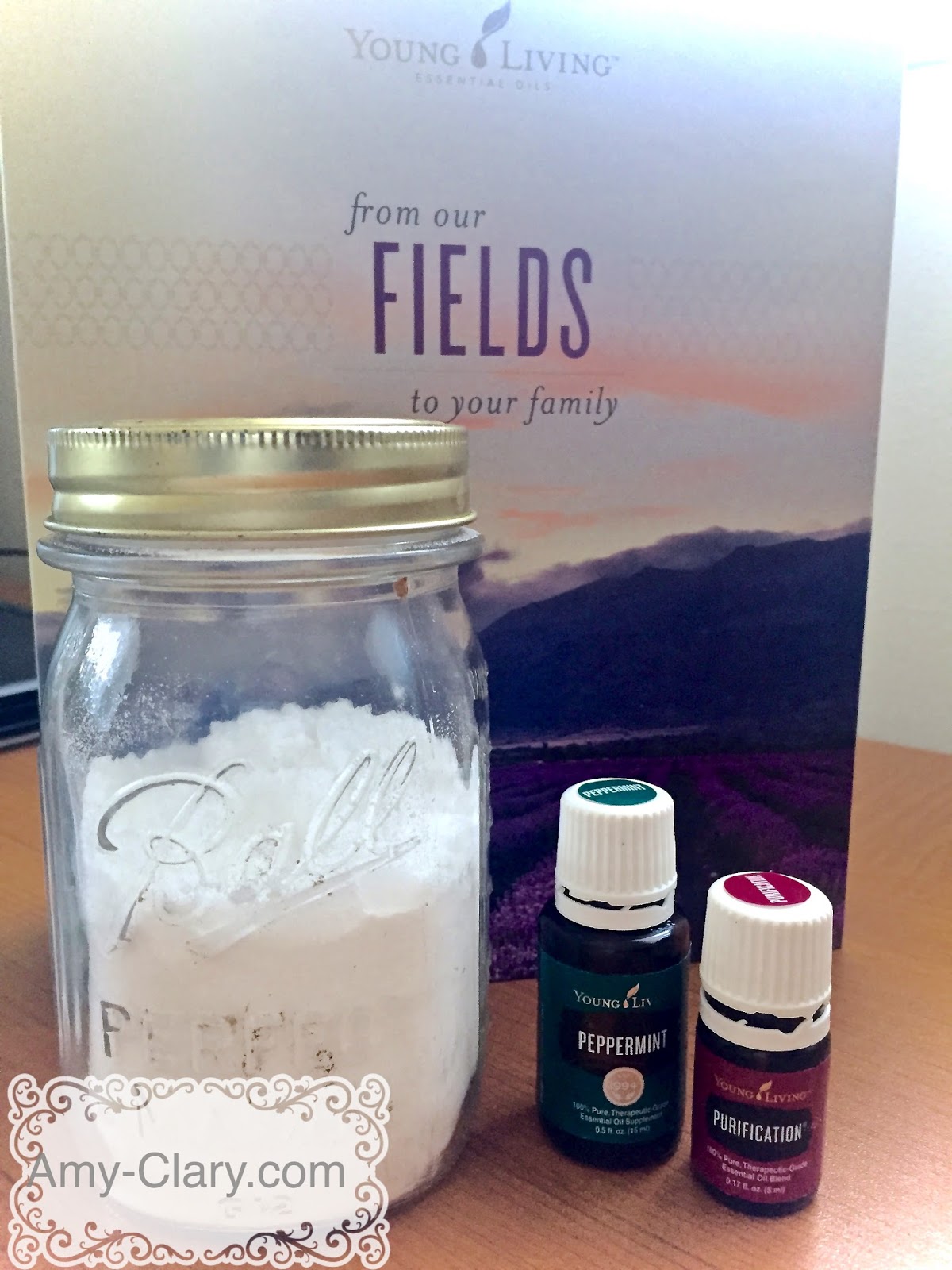 Chemical Free Carpet Powder DIY Amy Clary