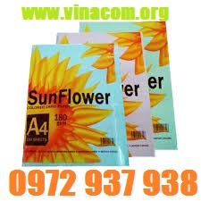 bia mau sunflower