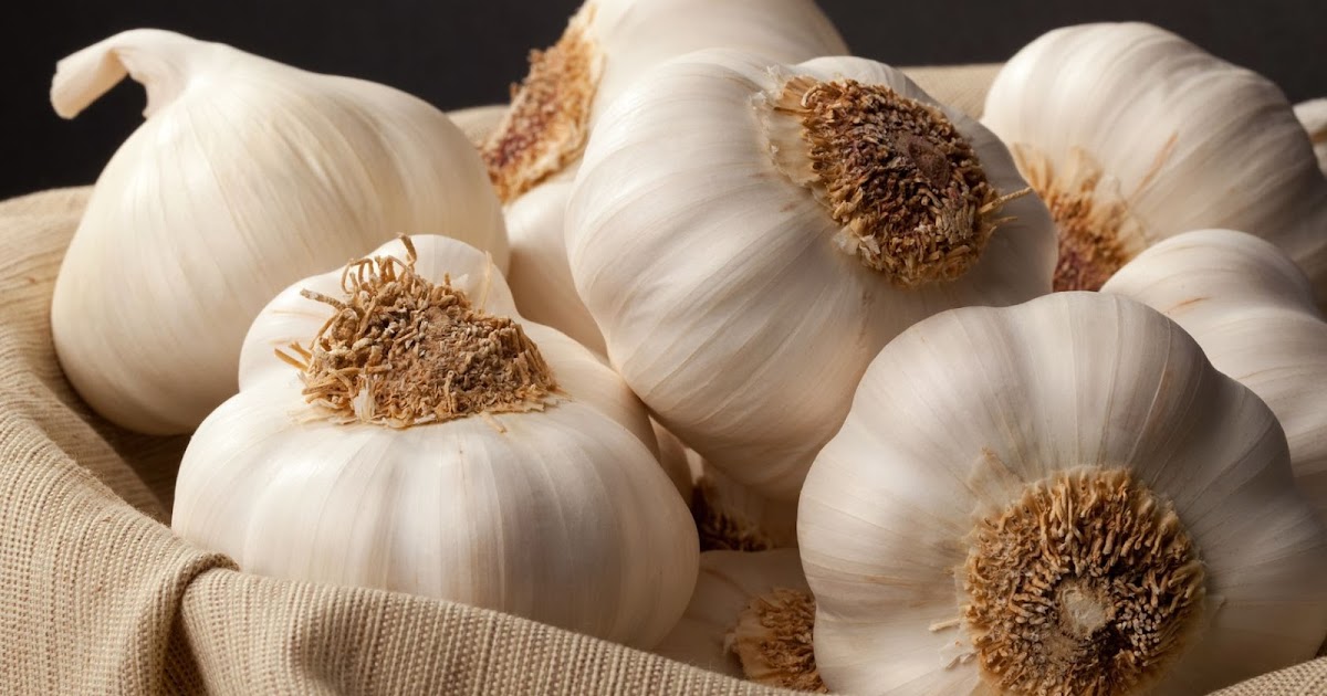 La reproducción vegetativa - Biología