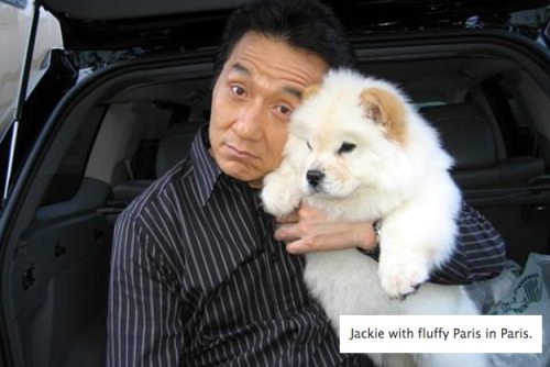 Jackie Chan