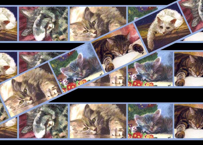 Cats wallpaper border