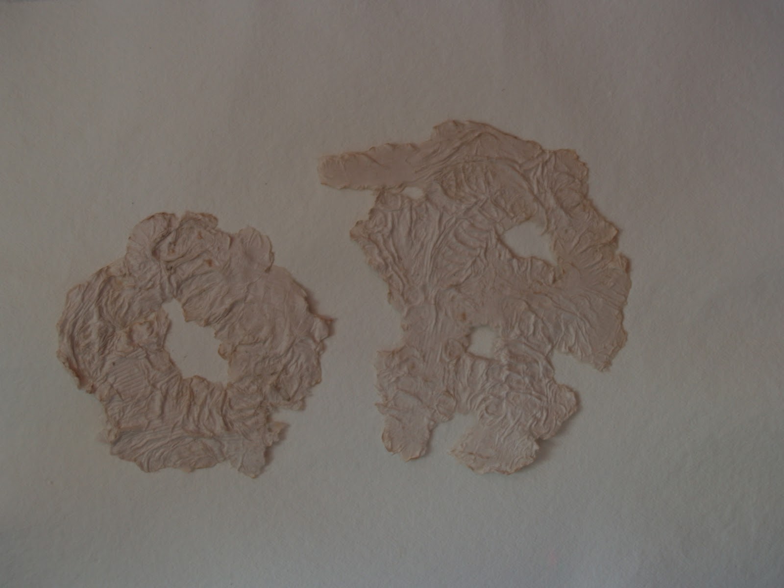 Greg Patch hand made paper