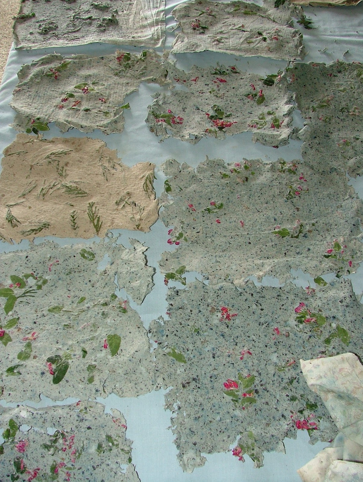 Michele Bilyeu Creates *With Heart and Hands* Wildcrafting Making