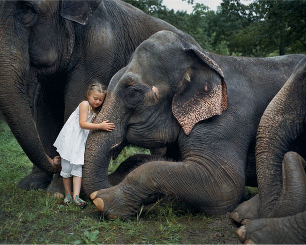 Portraits of A Girl With Wild Animals 