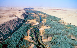 RIYADH-WADI HANIFA WETLANDS