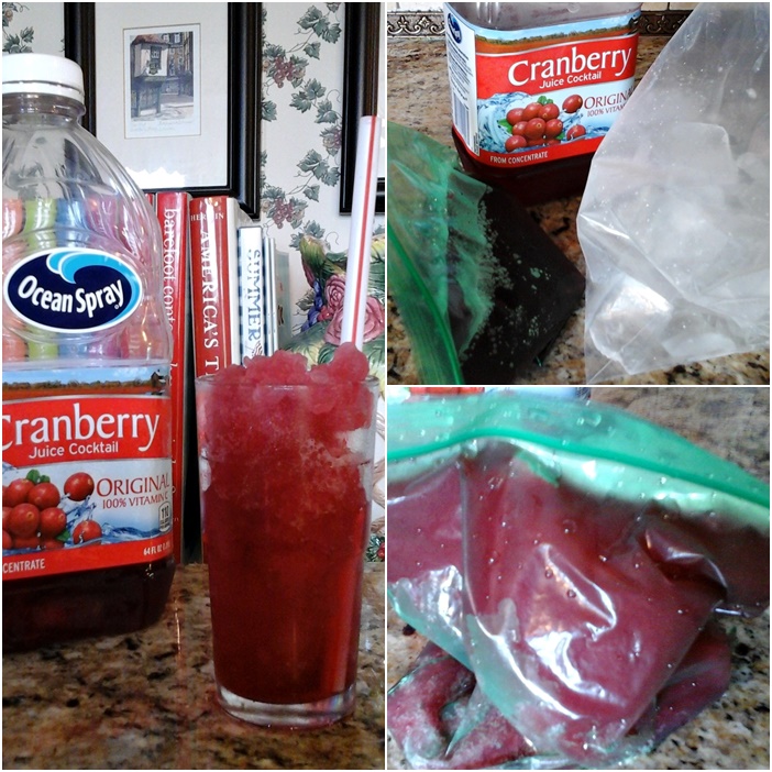 The Domestic Curator MAKING HOMEMADE ICEES!