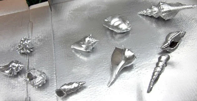 sea shells spray painted silver