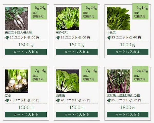 收成太多吃不完？可以放到Telefarm商店販售