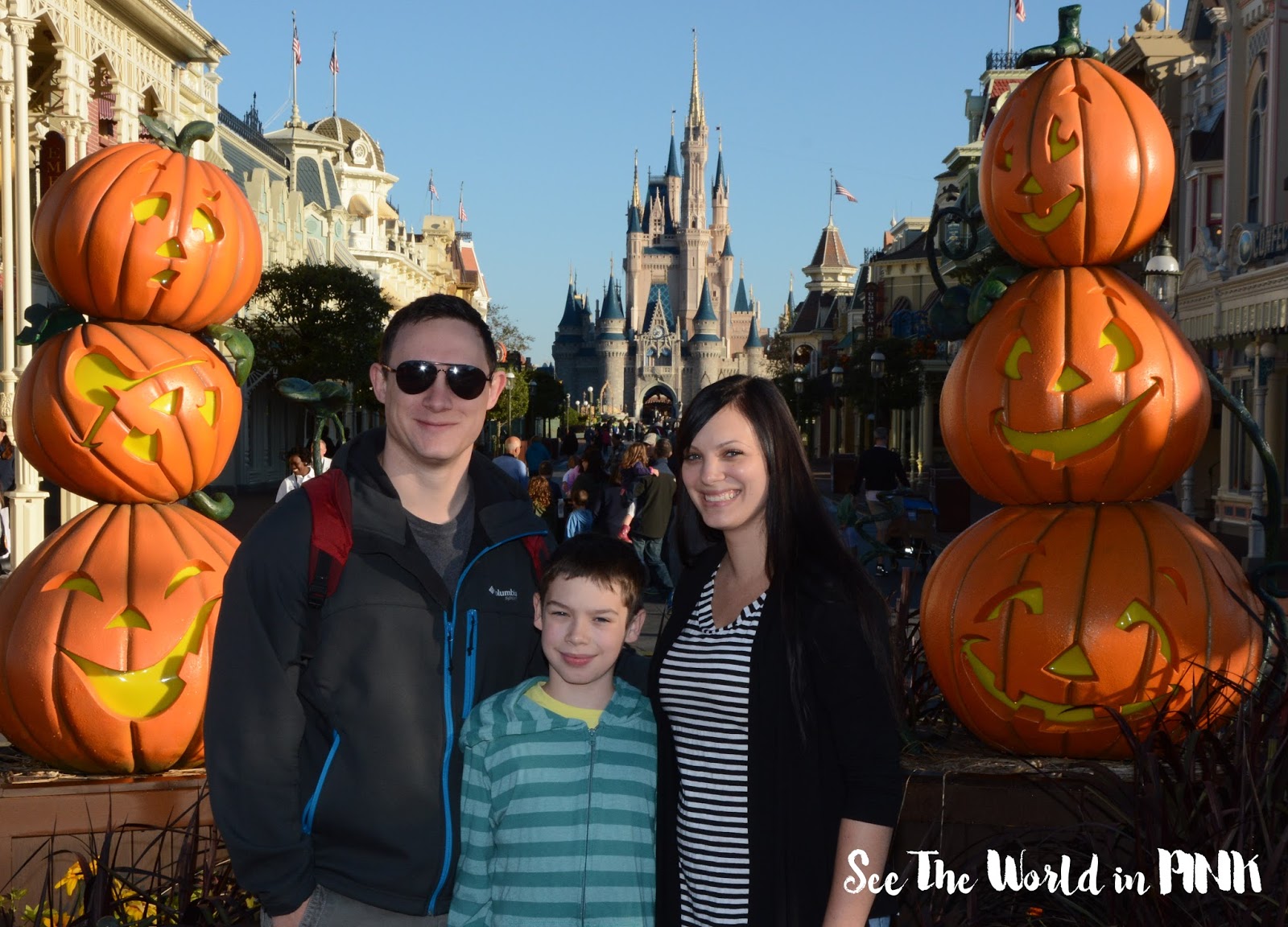 Travel Post - Orlando, Florida ~ Walt Disney World, Universal Studios, and Swimming With Manatees! 