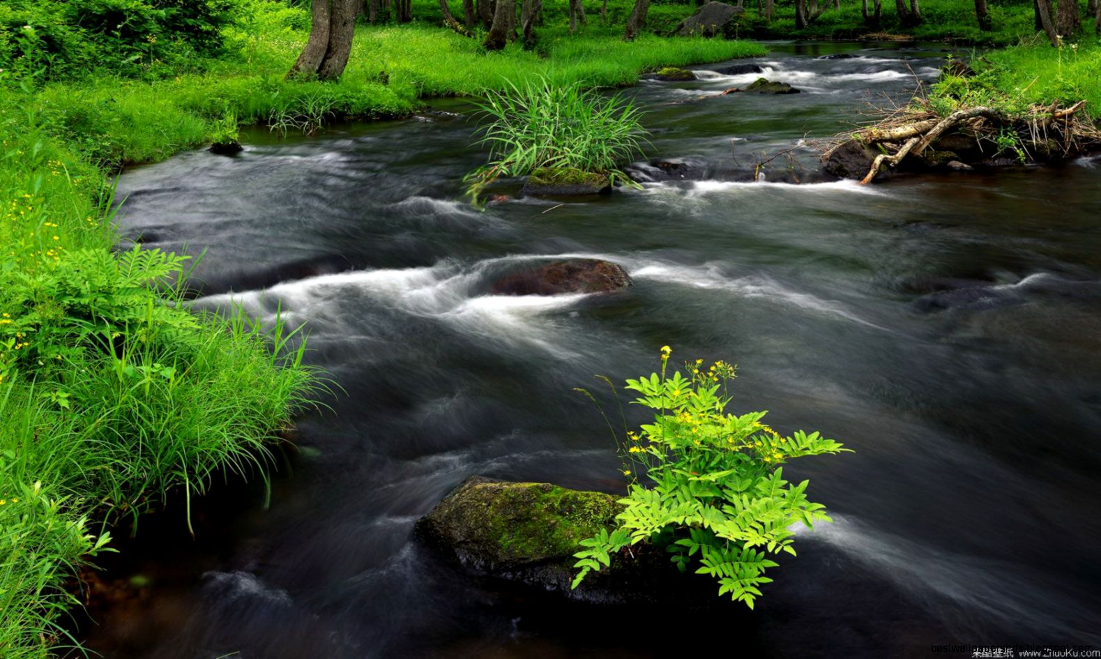 Wallpapers Miniature Landscape Moving Water X Free 1680x1050