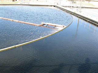 Here is the secondary clarifier at the plant. Just like in the cartoon above, water spills in from two ways into the launder.