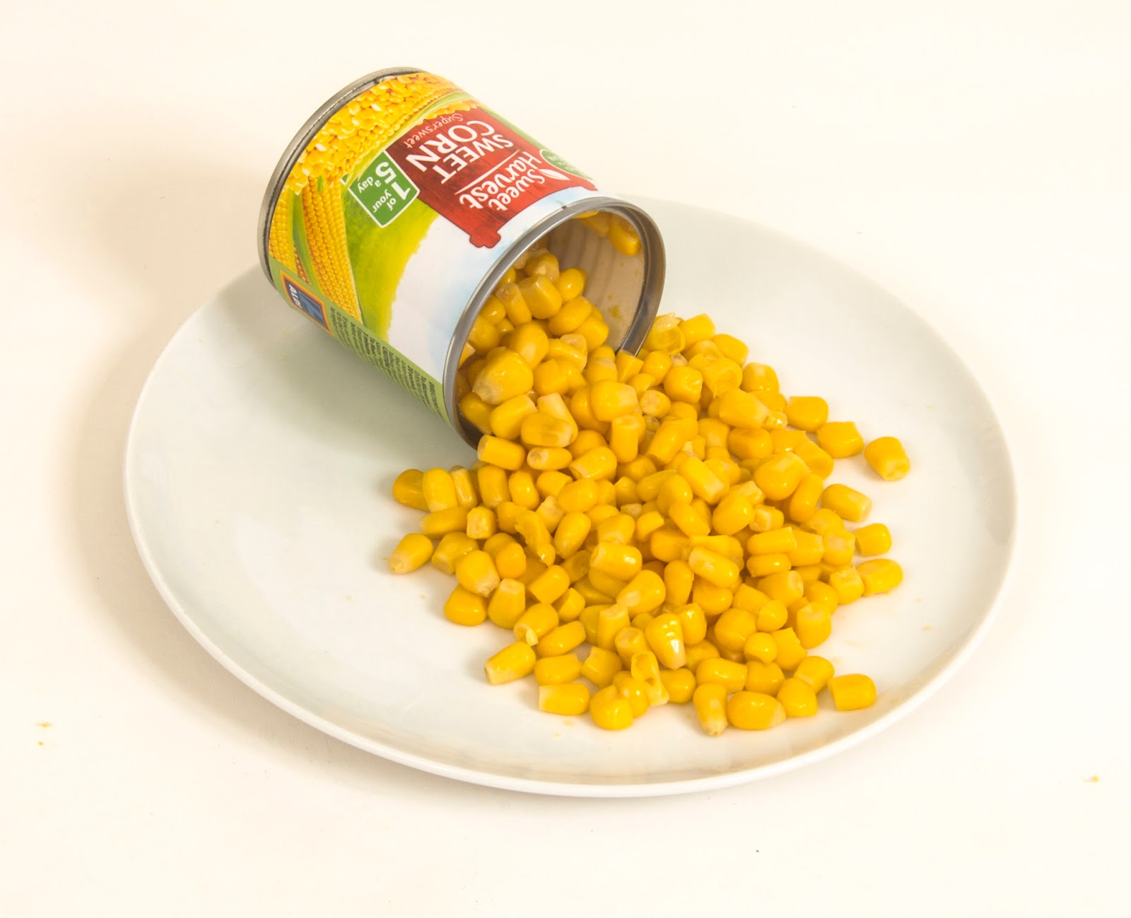 How to drown maggots Canned Sweetcorn Exposed! Part 2