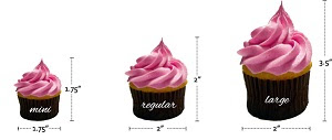 SHC TUTORIALS Different types of Cupcakes