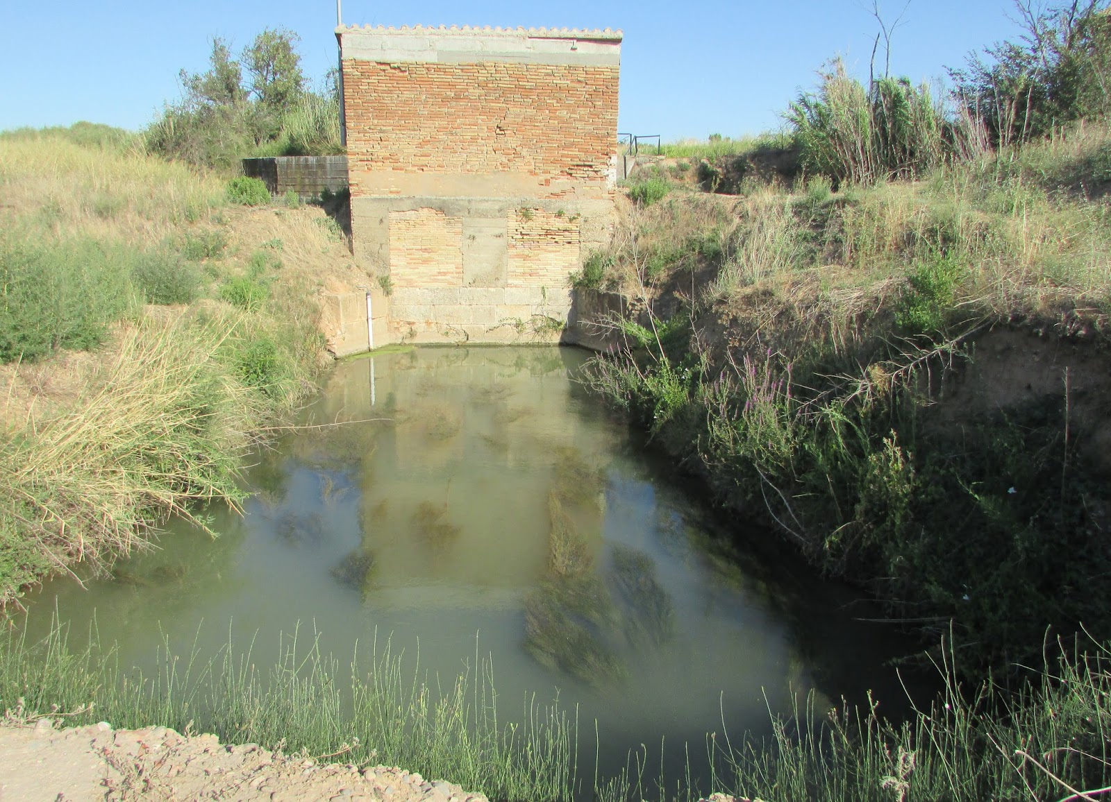 imagenes del camino Acequia Ibera, Acequia de La Almozara.