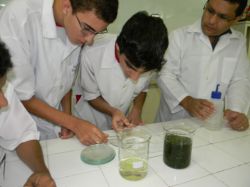 Laboratório de Biologia e Meio Ambiente: Prática - 12, parte 2