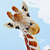 Cientistas afirmam que há quatro espécies de girafas na natureza
