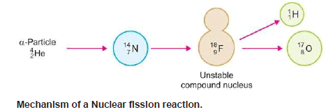 Nuclear Reaction: Definition, Types, Examples, Equations