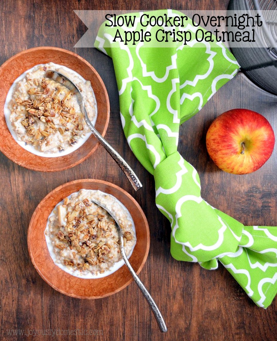 Joyously Domestic Slow Cooker Overnight Apple Crisp Oatmeal