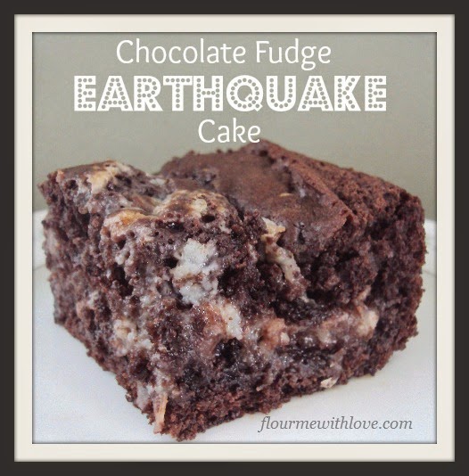 Chocolate fudge, cream cheese, coconut and chocolate chips blended into one delicious cake!