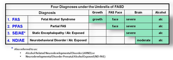Essay about fetal alcohol syndrome