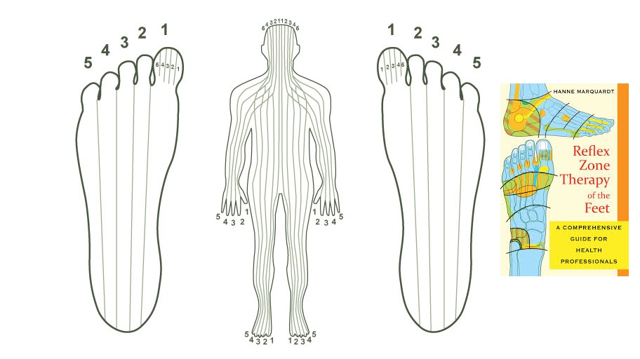 ΕΛΛΗΝΕΣ ΡΕΦΛΕΞΟΛΟΓΟΙ GREEK REFLEXOLOGISTS What is reflexology, what