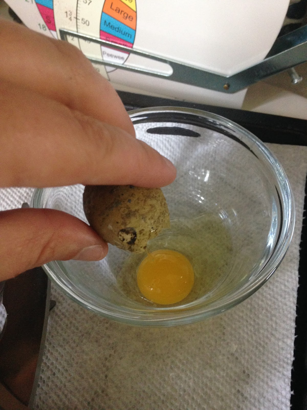Midnight Acres Farm How to Crack a Quail Egg