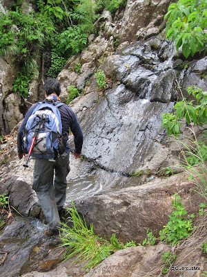 Y tercos, regresamos al cauce del Arroyo Hondo - Cerro Viejo