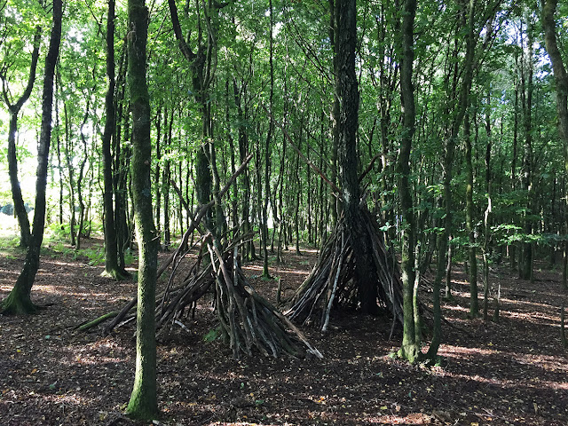 Camps in a grove on Ashdown Forest. Camps in a grove on Ashdown Forest.