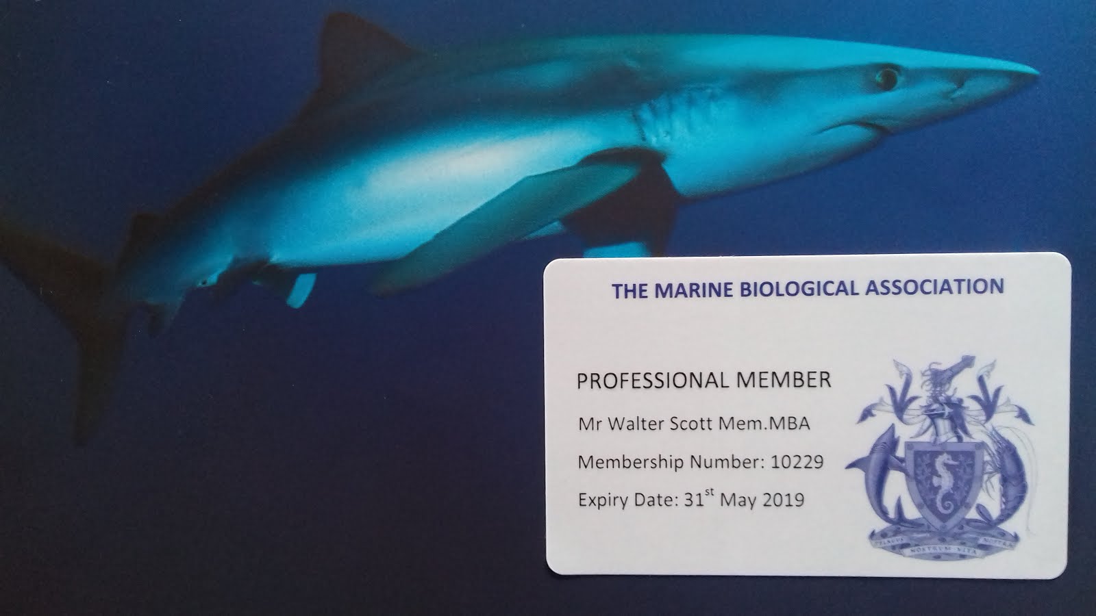 Professional Member of the Marine Biology Association
