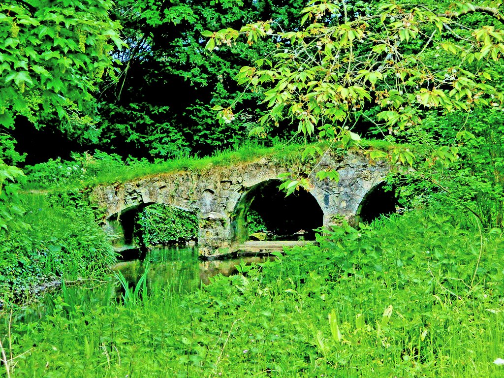 Gardensnaps Walsingham Abbey Gardens