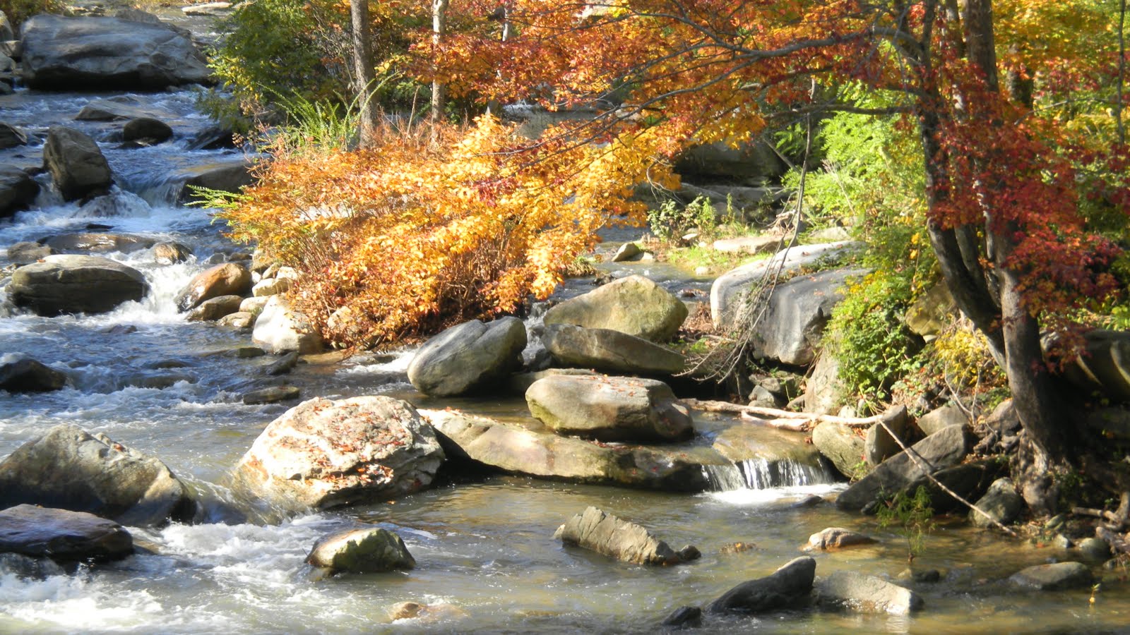 Picture Perfect Mountain Springs