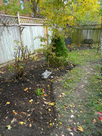 Toronto garden cleanup Annex Paul Jung Gardening Services side after