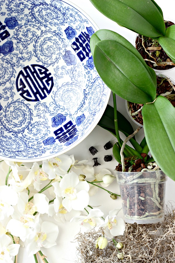 DIY FAUX/REAL ORCHID ARRANGEMENT Dimples and Tangles