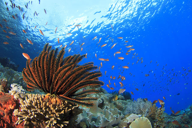 Nusa Lembongan Bali