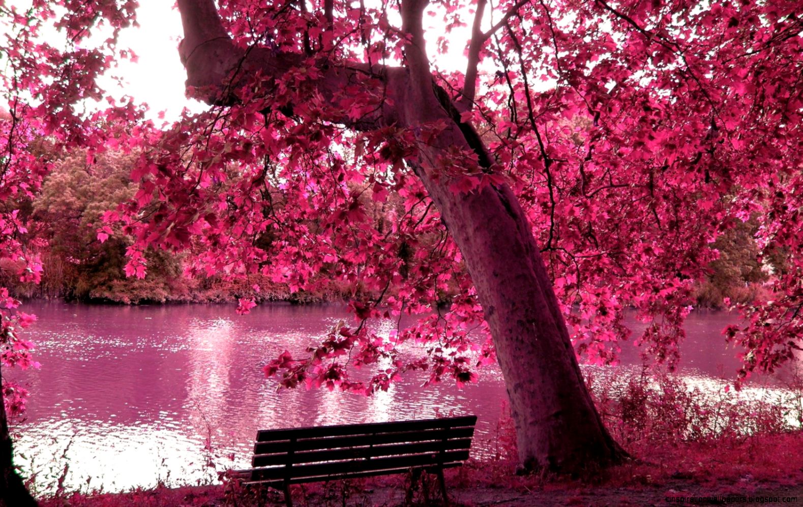 11447 Spring Desktop Background Wallpaper