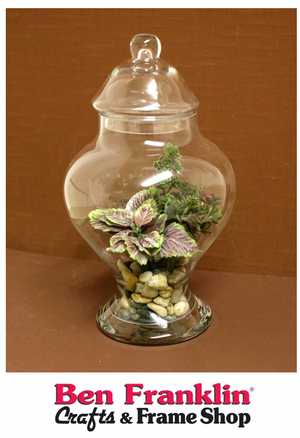 Ben Franklin Crafts and Frame Shop Apothecary Jar Terrarium