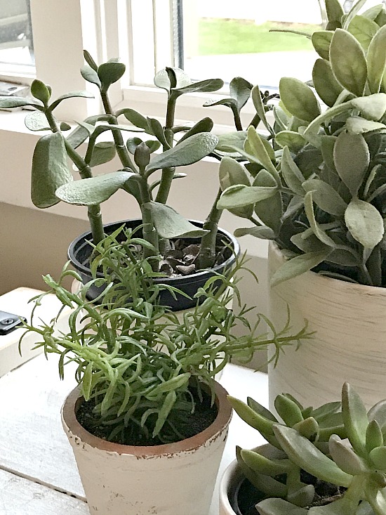 Real Looking Faux Plants Homeroad